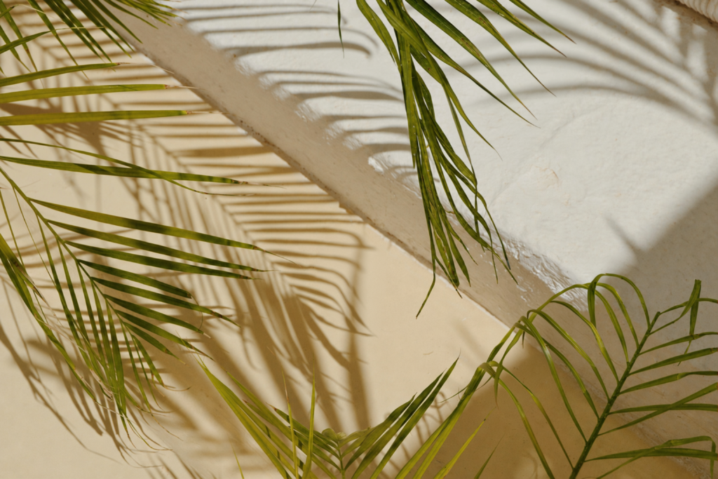 Investing in a Turks and Caicos Mortgage Fund | Portico Investing in a Turks and Caicos Mortgage Fund | Portico